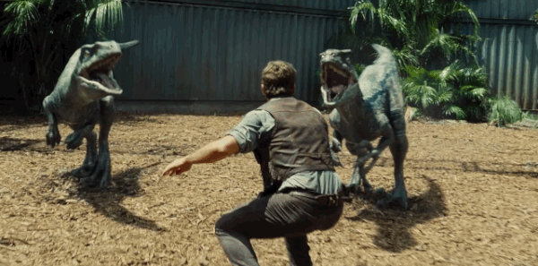 Jurassic World Velociraptores Owen gif