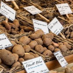 De mercadillos