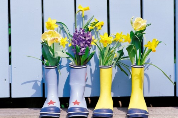 Las macetobotas